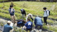 令和3年4月情勢報告