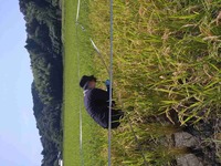 情勢報告8月