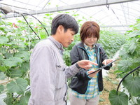 1月情勢