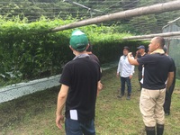 情勢報告7月