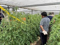 情勢報告9月