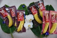 情勢報告1月