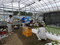 平成27年10月