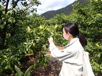情勢報告４月