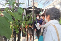 情勢報告3月