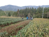 情勢報告9月