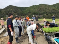 10月