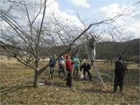 平成29年3月