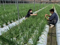 情勢報告9月