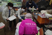 10月情勢報告