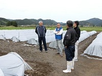 情勢報告５月
