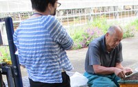 加工用ワサビの育苗試験
