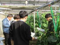情勢報告１月