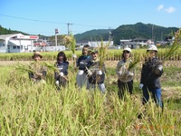情勢報告10月