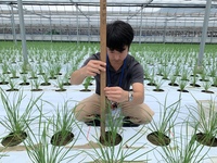 情勢報告7月