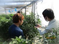 情勢報告３月