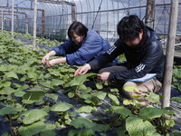 情勢報告5月