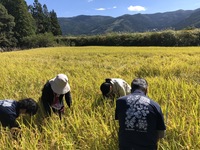 令和4年10月
