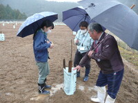 情勢報告３月