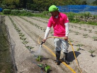 情勢報告５月