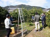 情勢報告写真