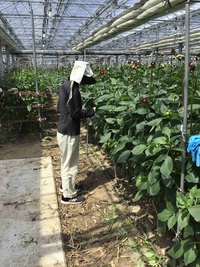 情勢報告５月