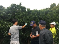 情勢報告9月