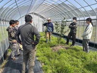 ユズ母樹園の現地確認