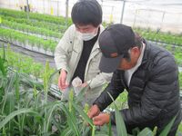 【情勢報告】中央東２月