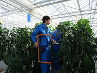 普及活動情勢報告　平成31年1月