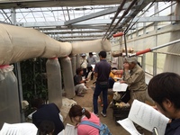 環境制御技術の実際を知って生産力向上！