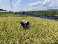情勢報告【８月】