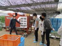 農業体験ツアー