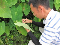 普及活動情勢報告９月