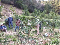 令和5年3月情勢報告
