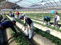 普及活動情勢報告　平成２７年１０月