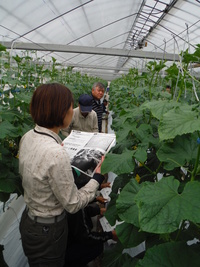 １１月情勢報告