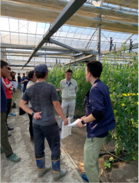 情勢報告１１月