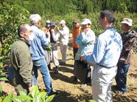 ユズ現地検討会写真