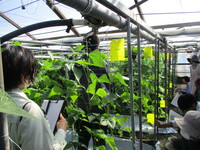 情勢報告１１月