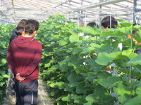 普及活動情勢報告　平成28年12月