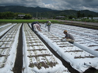 普及活動情勢報告　平成２８年６月