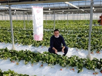 オンライン農業ツアー