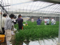 平成２９年１０月