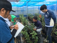 レモン現地検討会