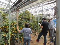 【情勢報告】中央東５月