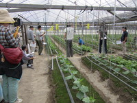 情勢報告Ｈ２７年１０月