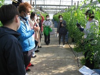 情勢報告１１月