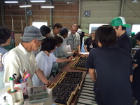 小ナス目慣らし会