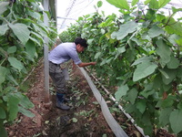 普及活動情勢報告6月